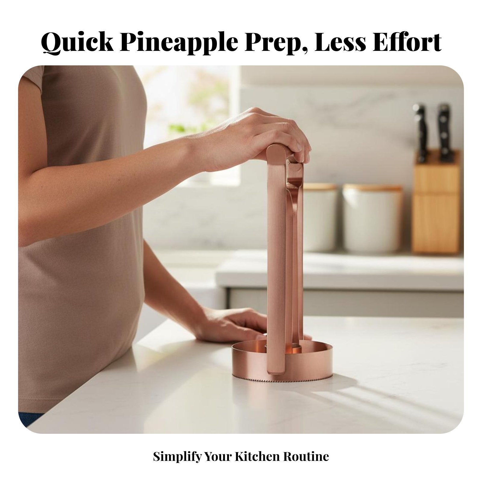Stainless Steel Pineapple Cutt - đánh giá và giá Kitchen Gadgets Usa