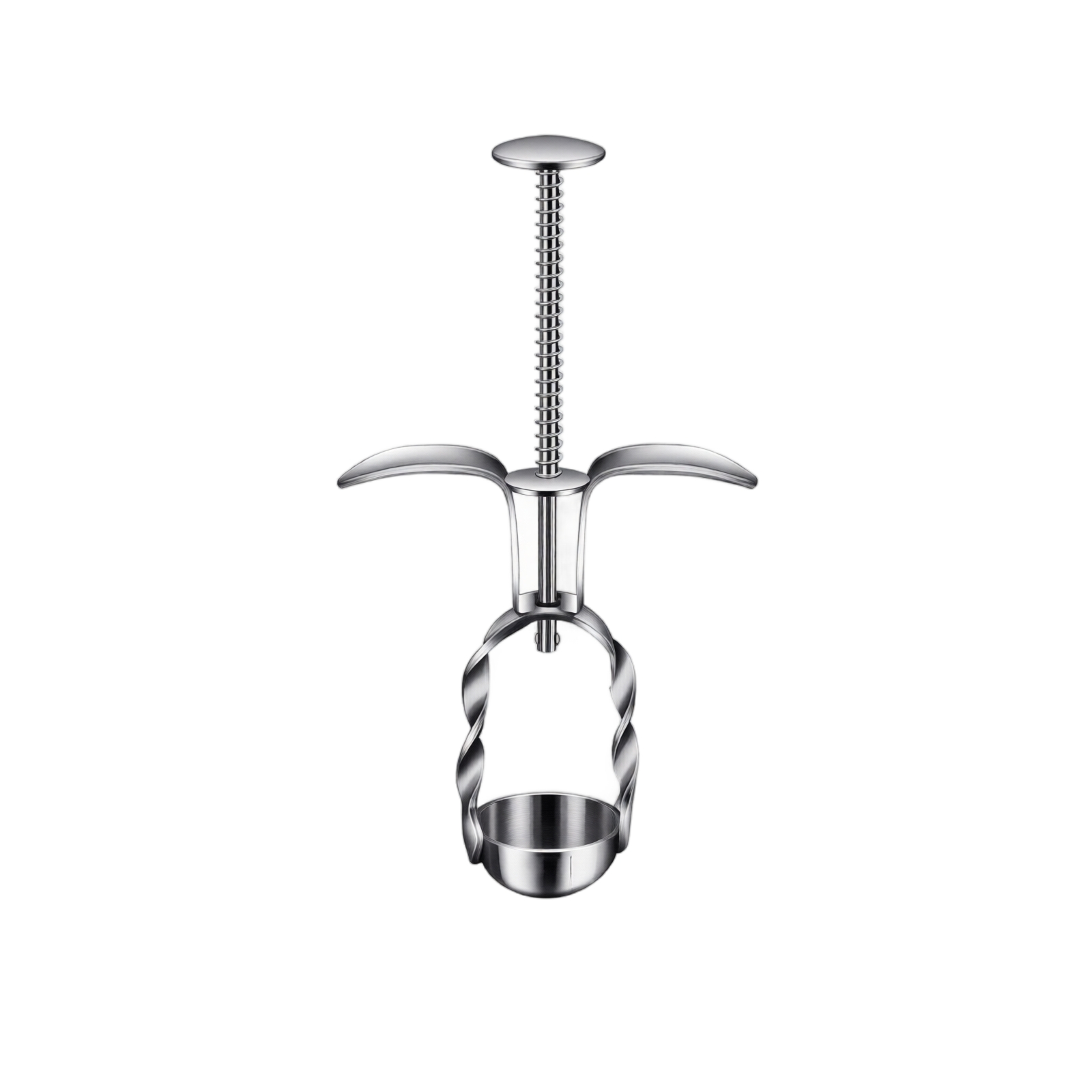 Stainless Steel Red Date Pitte - đánh giá và giá Kitchen Gadgets Usa